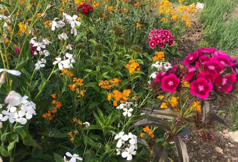 标准间, Un Matin Au Jardin