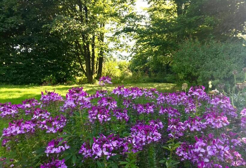 标准房带园景, Un Matin Au Jardin