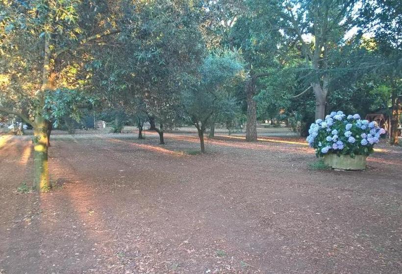 스탠다드 트리플 룸, Agriturismo La Giannottola