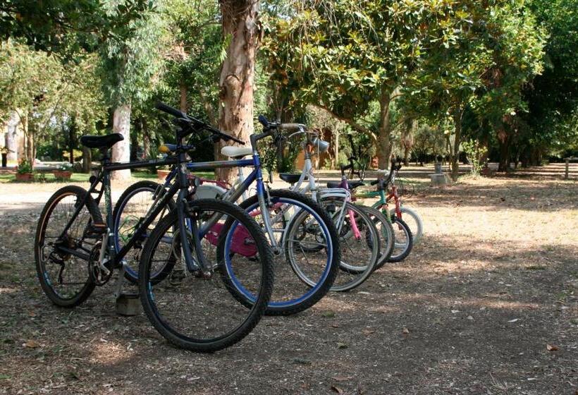 스탠다드 룸, Agriturismo La Giannottola