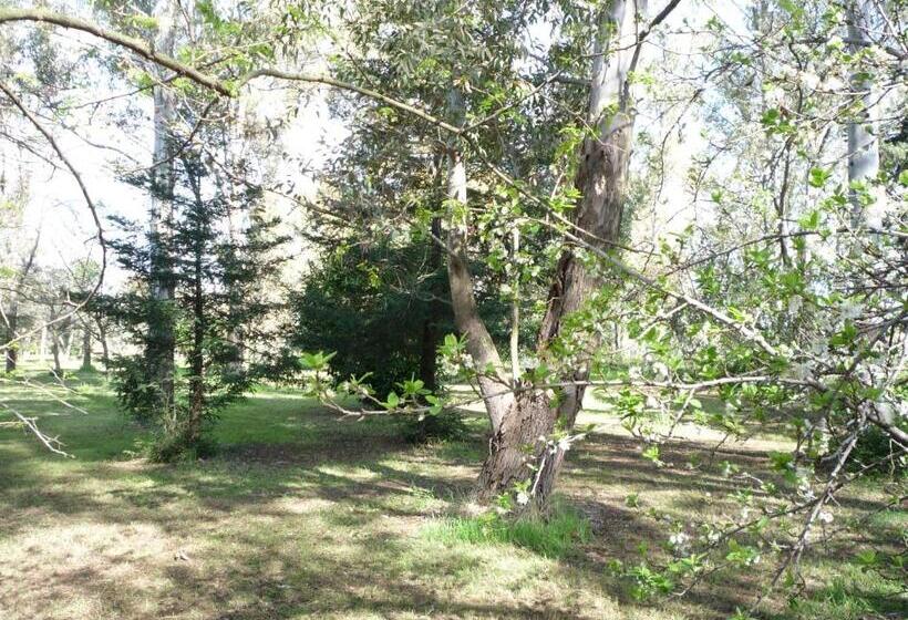 디럭스 룸, Agriturismo La Giannottola
