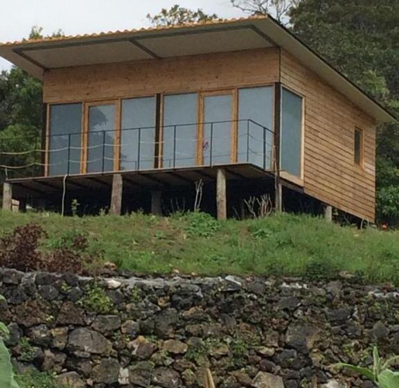 بانگلوی استاندارد, Intact Farm Resort