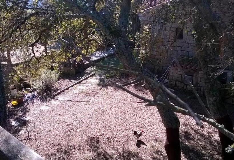 اتاق استاندارد, Agriturismo La Vigna