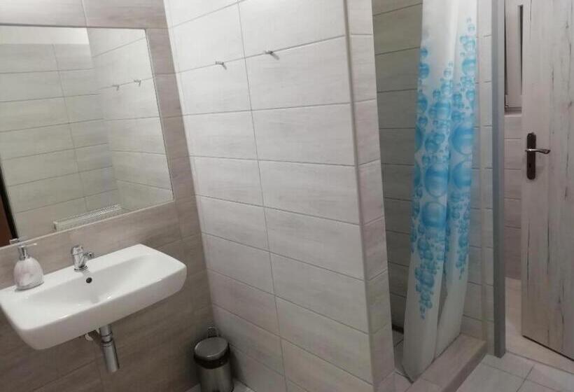 Апартаменты 1 Спальня с Террасой, Penzion Beskyd
