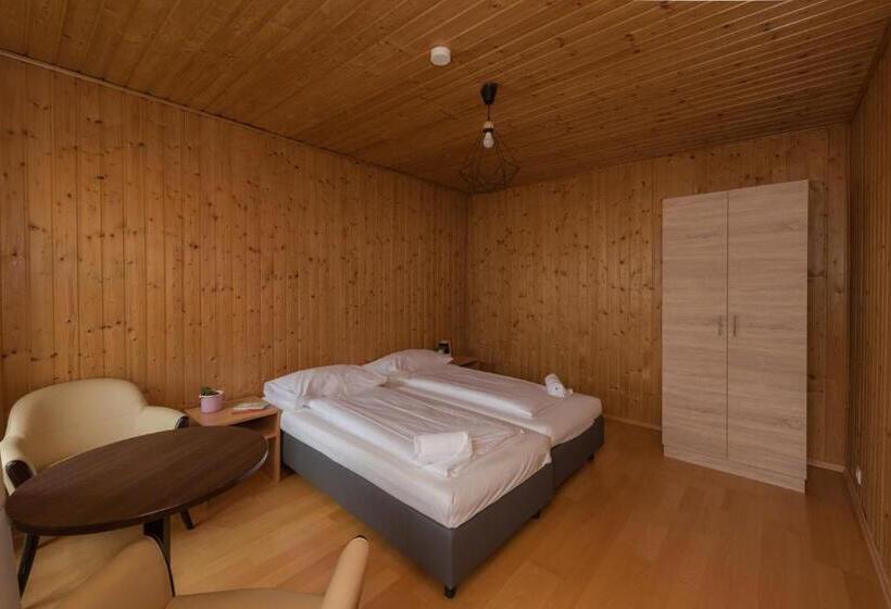 اتاق اکونومی, Metro Apartments Vienna