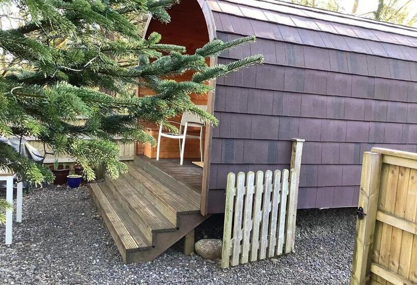 Шале 1 Спальня, Little London Bed & Breakfast And Glamping Pod