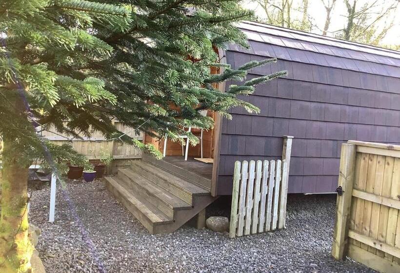 Шале 1 Спальня, Little London Bed & Breakfast And Glamping Pod