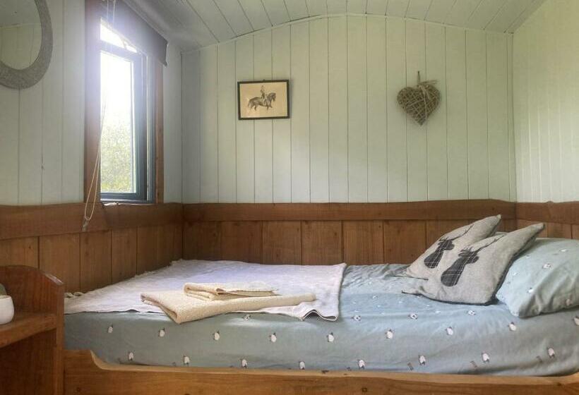 샬레, Berwyn Shepherds Hut