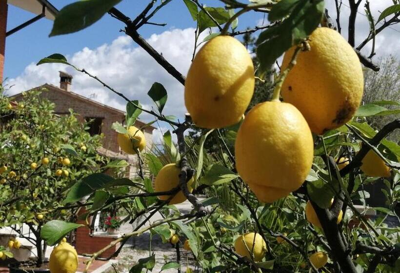 Апартаменты 2 Спальни, Casale San Martino Agriturismo Bio