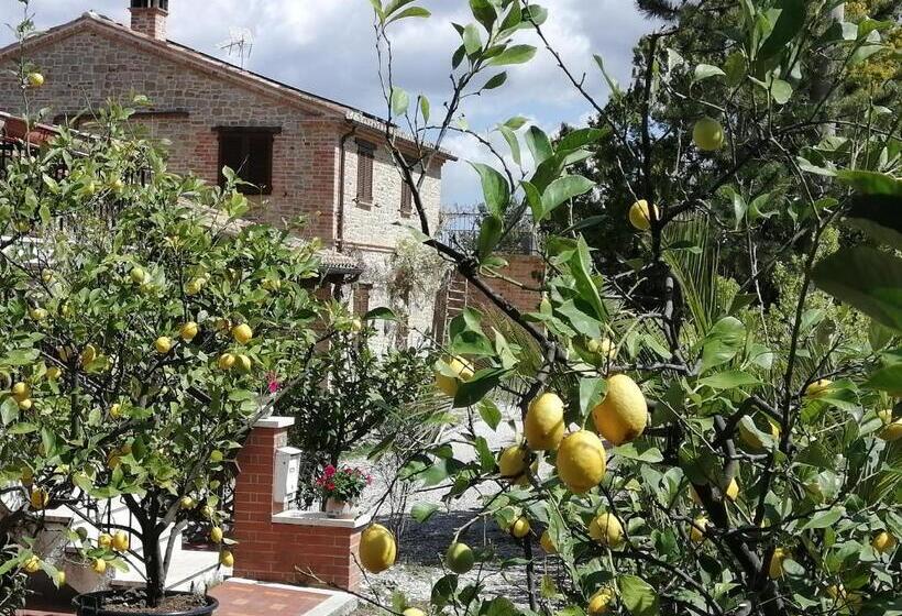 Апартаменты 1 Спальня Нижний Этаж, Casale San Martino Agriturismo Bio