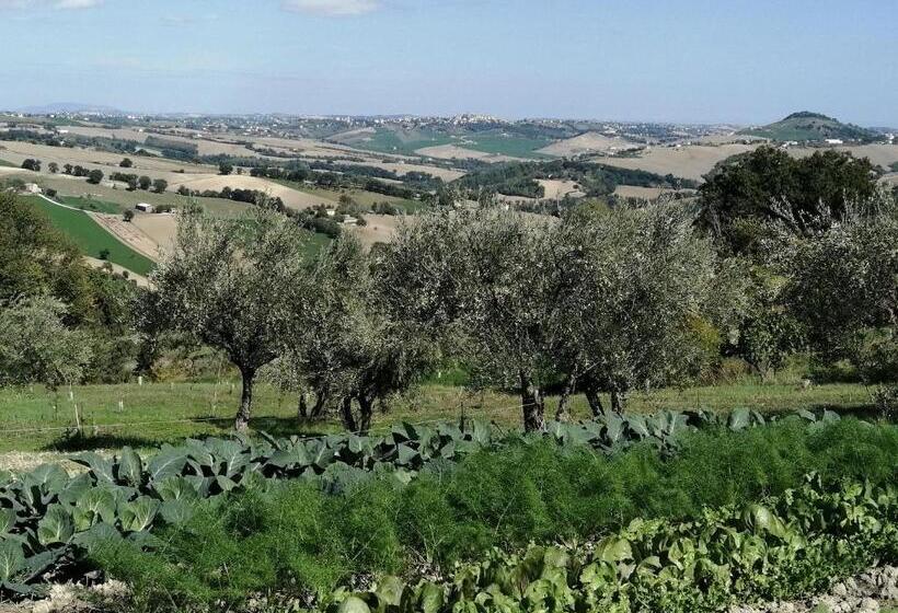 Апартаменты 1 Спальня Нижний Этаж, Casale San Martino Agriturismo Bio