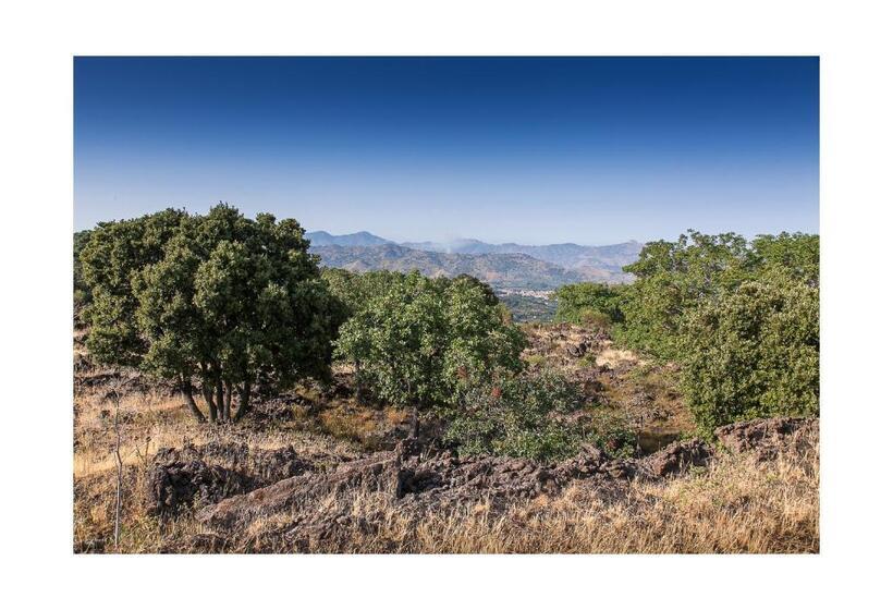 آپارتمان 1 خوابه, Ecoagriturismo Notti Stellate Etna Mare