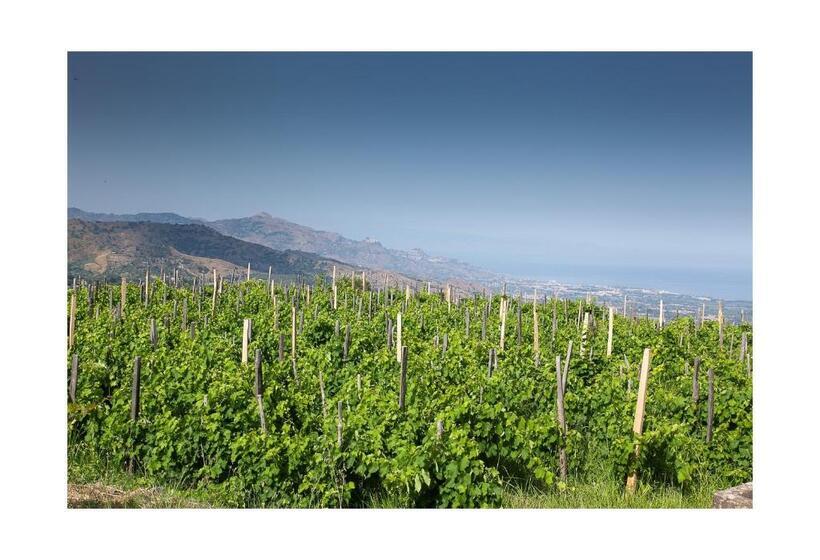 آپارتمان 1 خوابه با چشم‌انداز دریا, Ecoagriturismo Notti Stellate Etna Mare