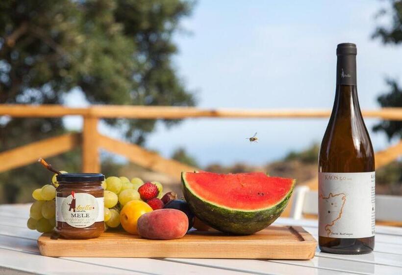 آپارتمان 1 خوابه, Ecoagriturismo Notti Stellate Etna Mare