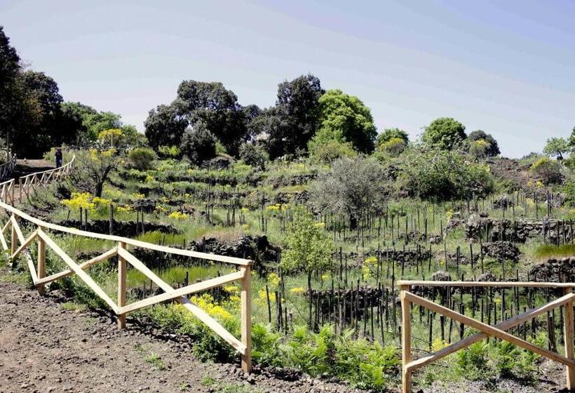آپارتمان 1 خوابه با چشم‌انداز دریا, Ecoagriturismo Notti Stellate Etna Mare