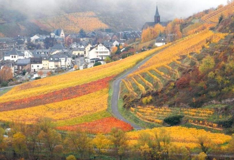 Апартаменты 2 Спальни, Apartment Happy Mosel