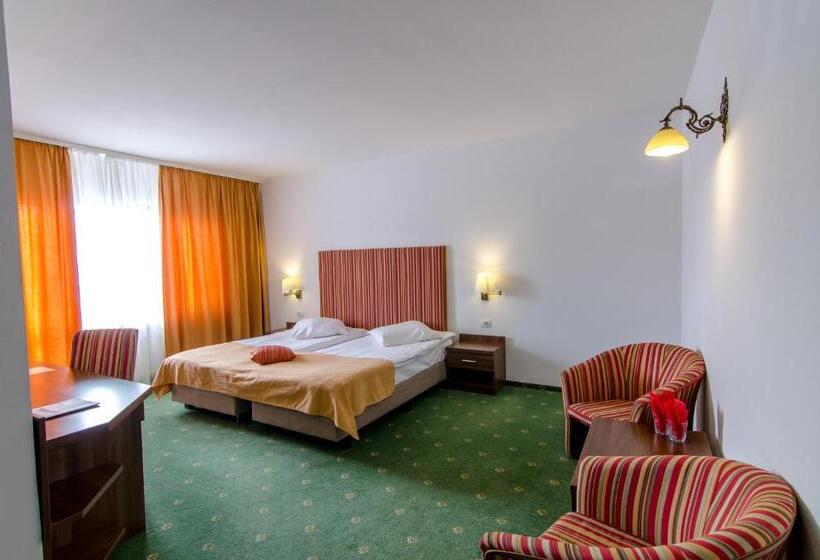 Номер Стандарт, Cheile Gradistei Fundata Resort