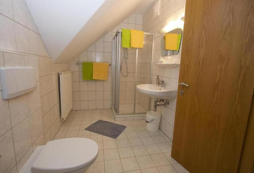 شقة غرفة واحدة, Seeappartements Bacher