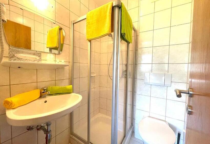 شقة غرفة واحدة ذات إطلالة, Seeappartements Bacher