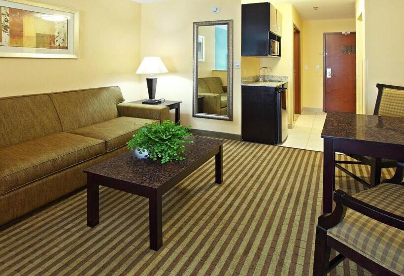 带大床的套房, Holiday Inn Express Hotel & Suites Carthage, An Ihg