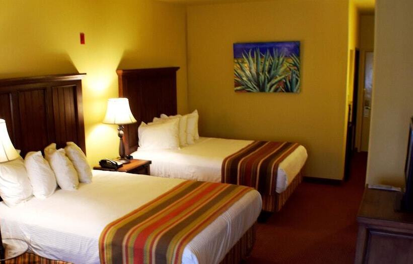 エクゼクティブルーム, Best Western San Isidro Inn