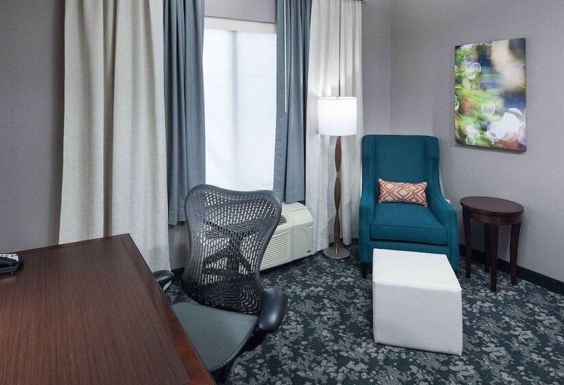 Люкс Повышенной Комфортности, Hilton Garden Inn Detroit/novi