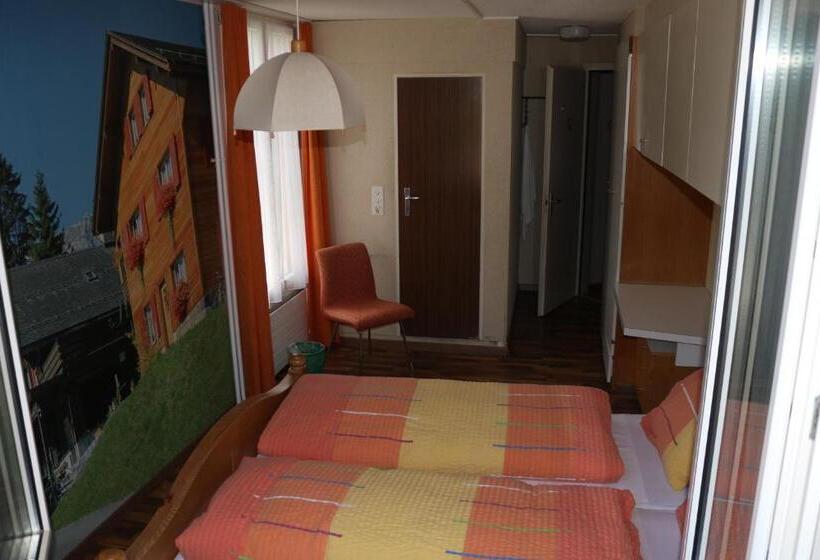 标准间, Adrenalin Backpackers Hostel
