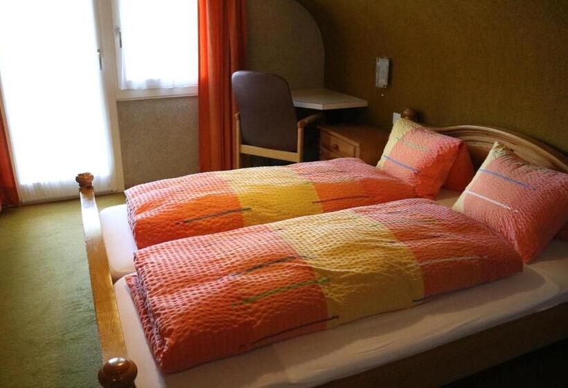 标准间, Adrenalin Backpackers Hostel