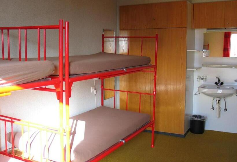 공동 객실, Adrenalin Backpackers Hostel