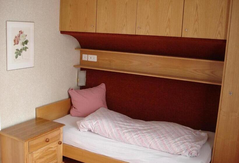 Номер Стандарт Индивидуальный Совместная Ванная, Adrenalin Backpackers Hostel