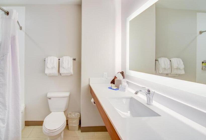 Люкс Кровать Кинг, Holiday Inn Express Hotel & Suites Foley, An Ihg