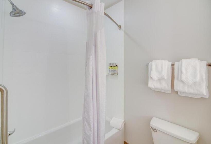 סוויטה מותאמת לאדם עם מוגבלויות, Holiday Inn Express Hotel & Suites Foley, An Ihg