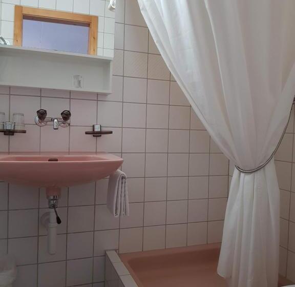 اتاق استاندارد یک نفره, Gasthof Schoenegg B&b