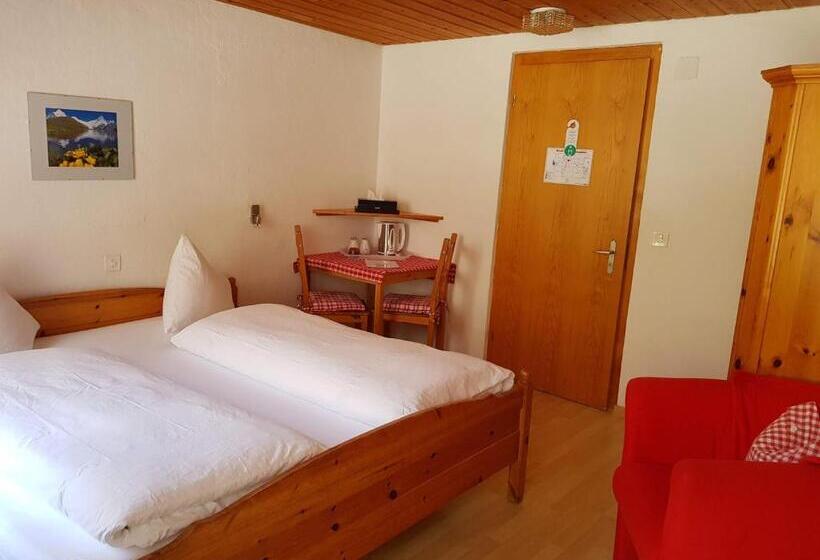 اتاق استاندارد, Gasthof Schoenegg B&b