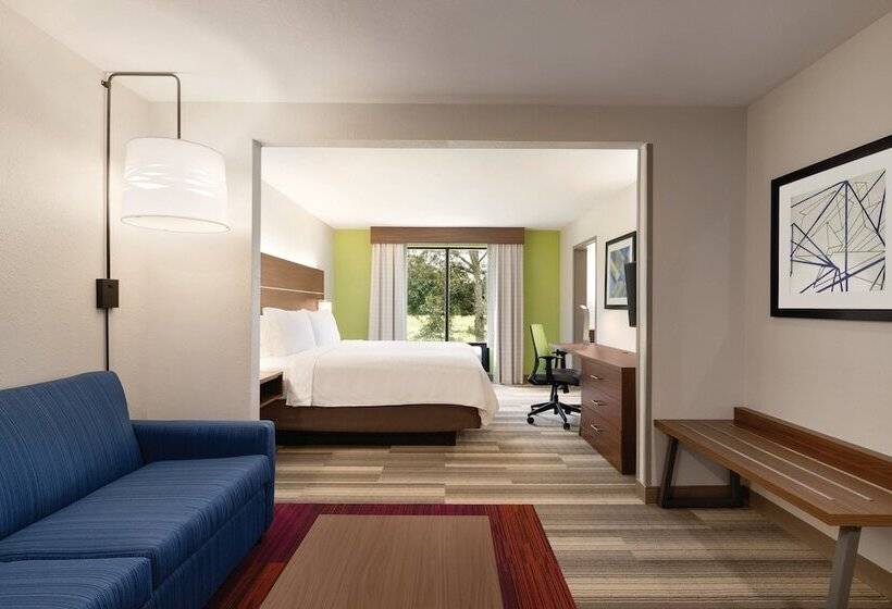 Люкс, Holiday Inn Express Hotel & Suites Lavonia, An Ihg