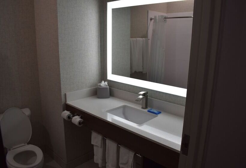 套房, Holiday Inn Express Hotel & Suites Mcpherson, An Ihg