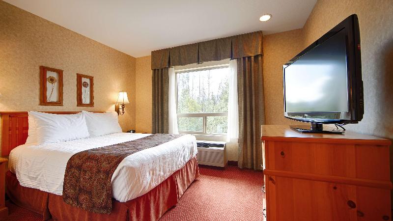 장애인을 위한 킹사이즈 침대 스탠다드 룸, Holiday Inn Express & Suites Spring Hill, An Ihg