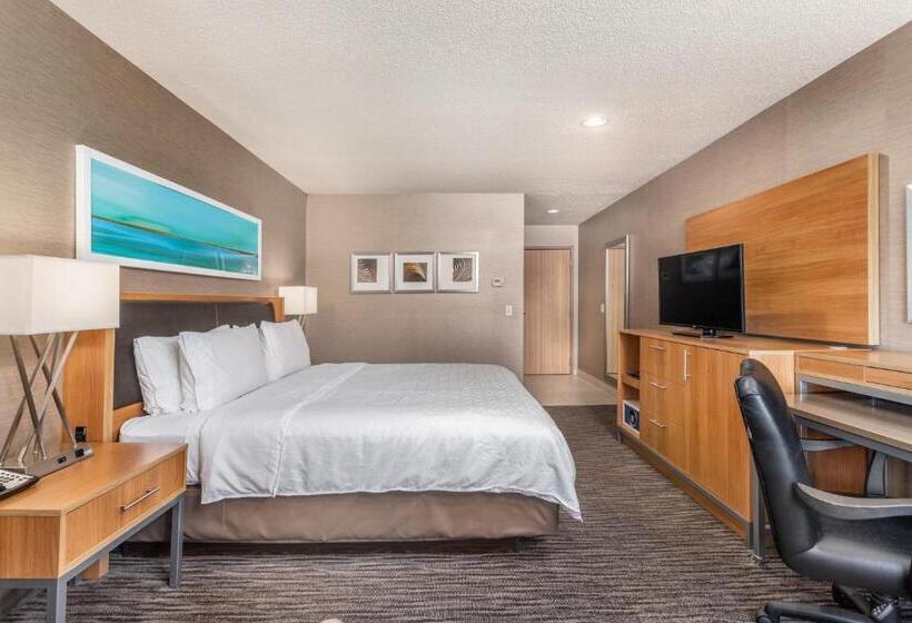 스탠다드 룸 킹사이즈 침대, Holiday Inn Express Annapolis East Kent Island, An Ihg