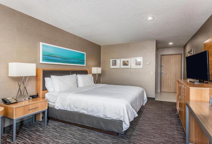 스탠다드 룸 킹사이즈 침대, Holiday Inn Express Annapolis East Kent Island, An Ihg
