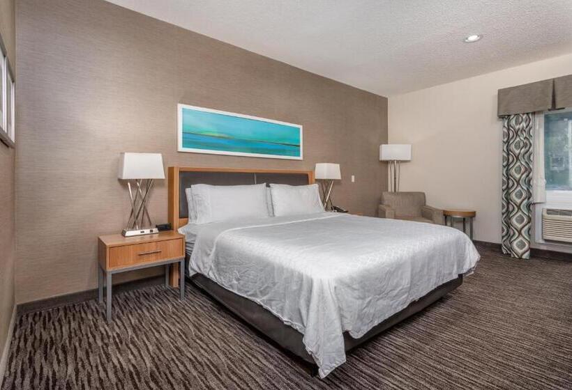 장애인을 위한 킹사이즈 침대 스탠다드 룸, Holiday Inn Express Annapolis East Kent Island, An Ihg