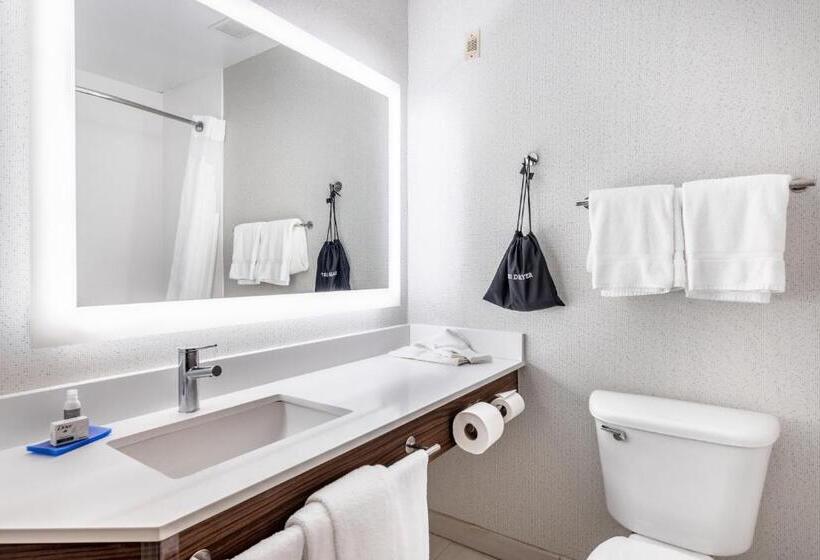장애인을 위한 스탠다드 룸, Holiday Inn Express Annapolis East Kent Island, An Ihg