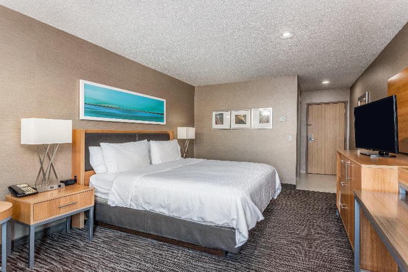 장애인을 위한 킹사이즈 침대 스탠다드 룸, Holiday Inn Express Annapolis East Kent Island, An Ihg