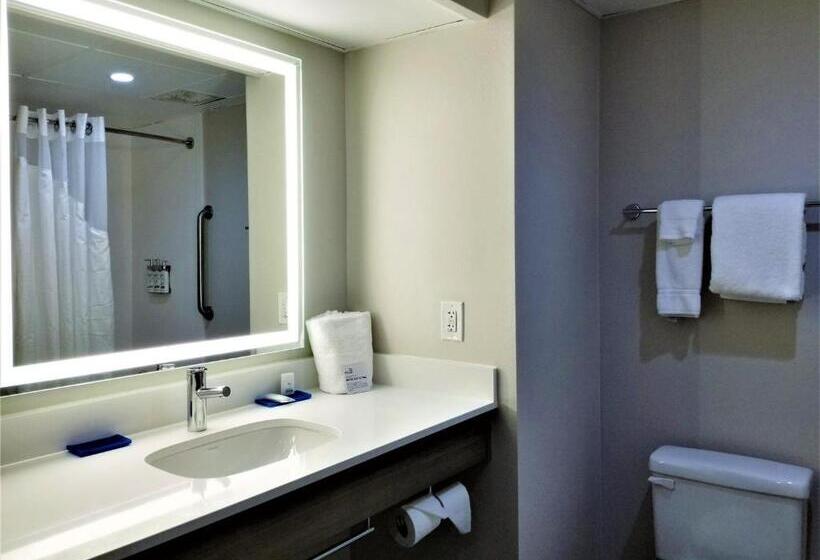 キングサイズベッドのスタンダードルーム, Holiday Inn Express Apex   Raleigh, An Ihg