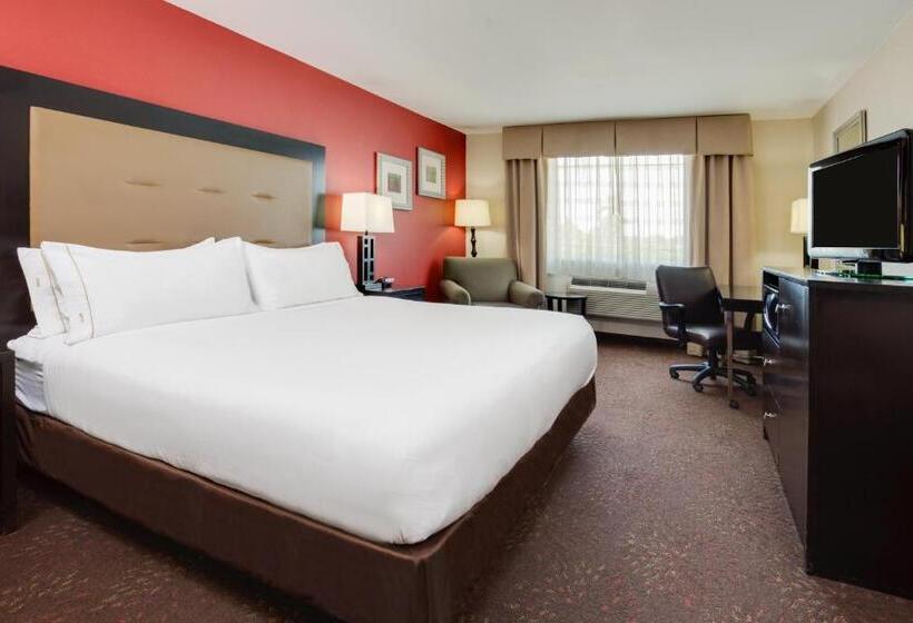 스탠다드 룸 킹사이즈 침대, Holiday Inn Express Harvey Marrero, An Ihg
