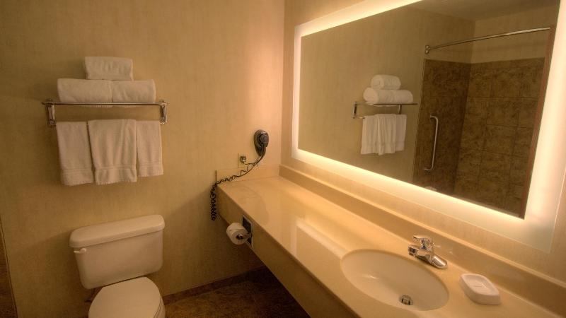 Люкс Кровать Кинг, Holiday Inn Express & Suites Sioux Center, An Ihg