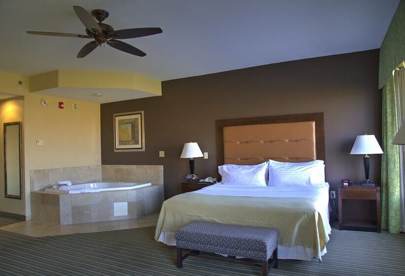 Номер Стандарт, Holiday Inn Pearl   Jackson Area, An Ihg