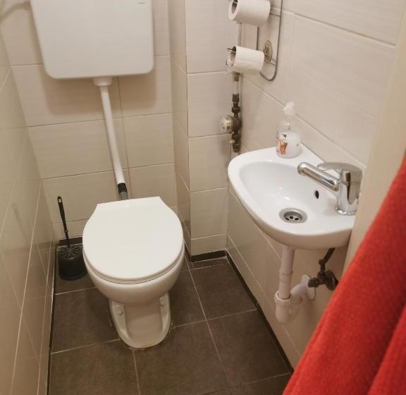 اتاق استاندارد با سرویس بهداشتی مشترک, Boomerang Hostel