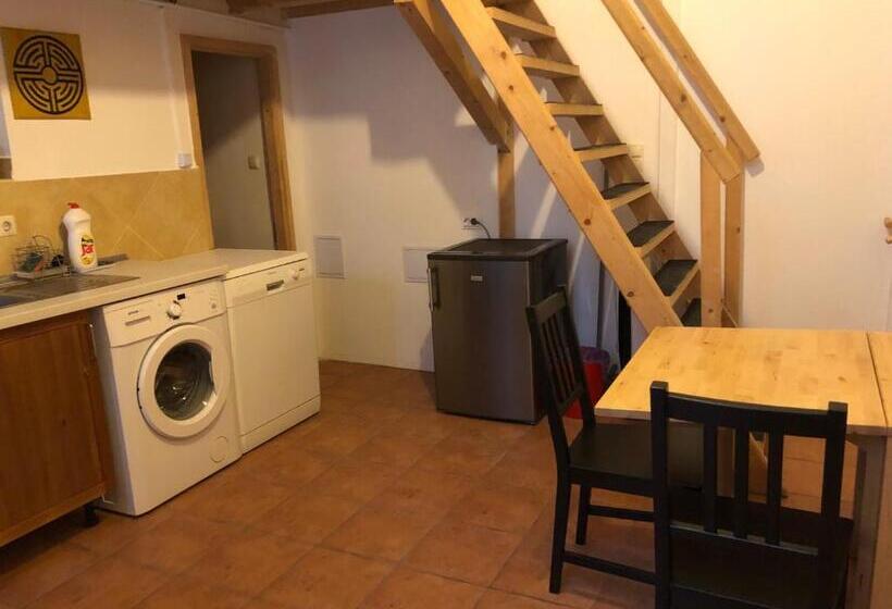 带1个卧室的公寓, Boomerang Hostel