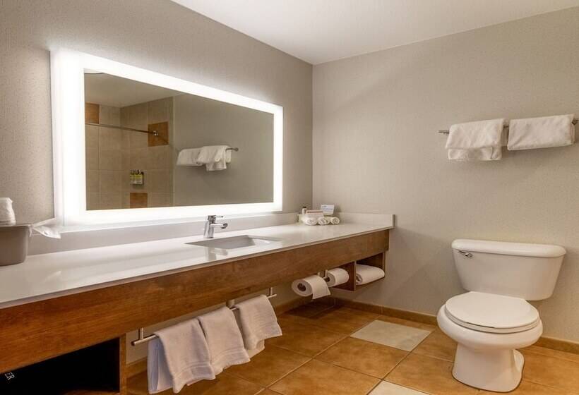 스위트, Holiday Inn Express Hotel & Suites Limon I 70/exit 359, An Ihg