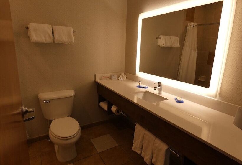 스탠다드 룸, Holiday Inn Express Hotel & Suites Limon I 70/exit 359, An Ihg